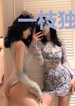 一枝独秀:总裁的小女佣张枝枝
