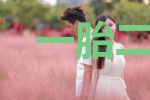 一胎二宝:鲜妻,乖乖宠!