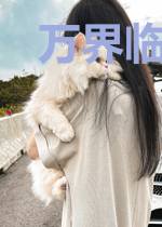 万界临时工