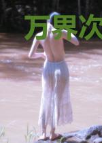万界次元交流议会