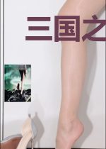 三国之我是大明星