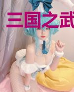 三国之武耀山河