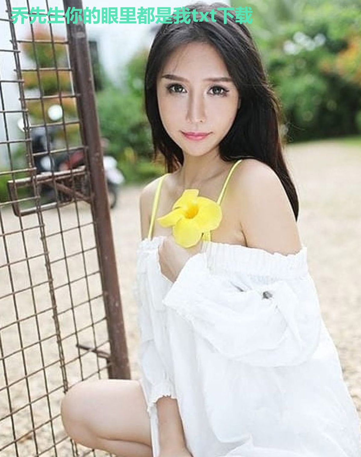 乔先生你的眼里都是我txt下载