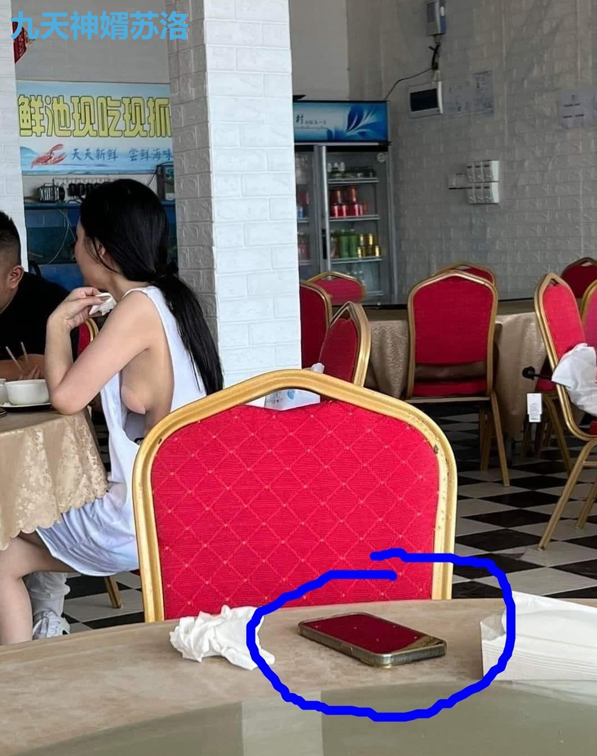 九天神婿苏洛