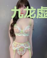 九龙虚天传