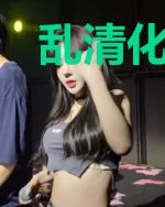 乱清化学家