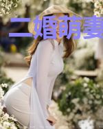 二婚萌妻宠上天