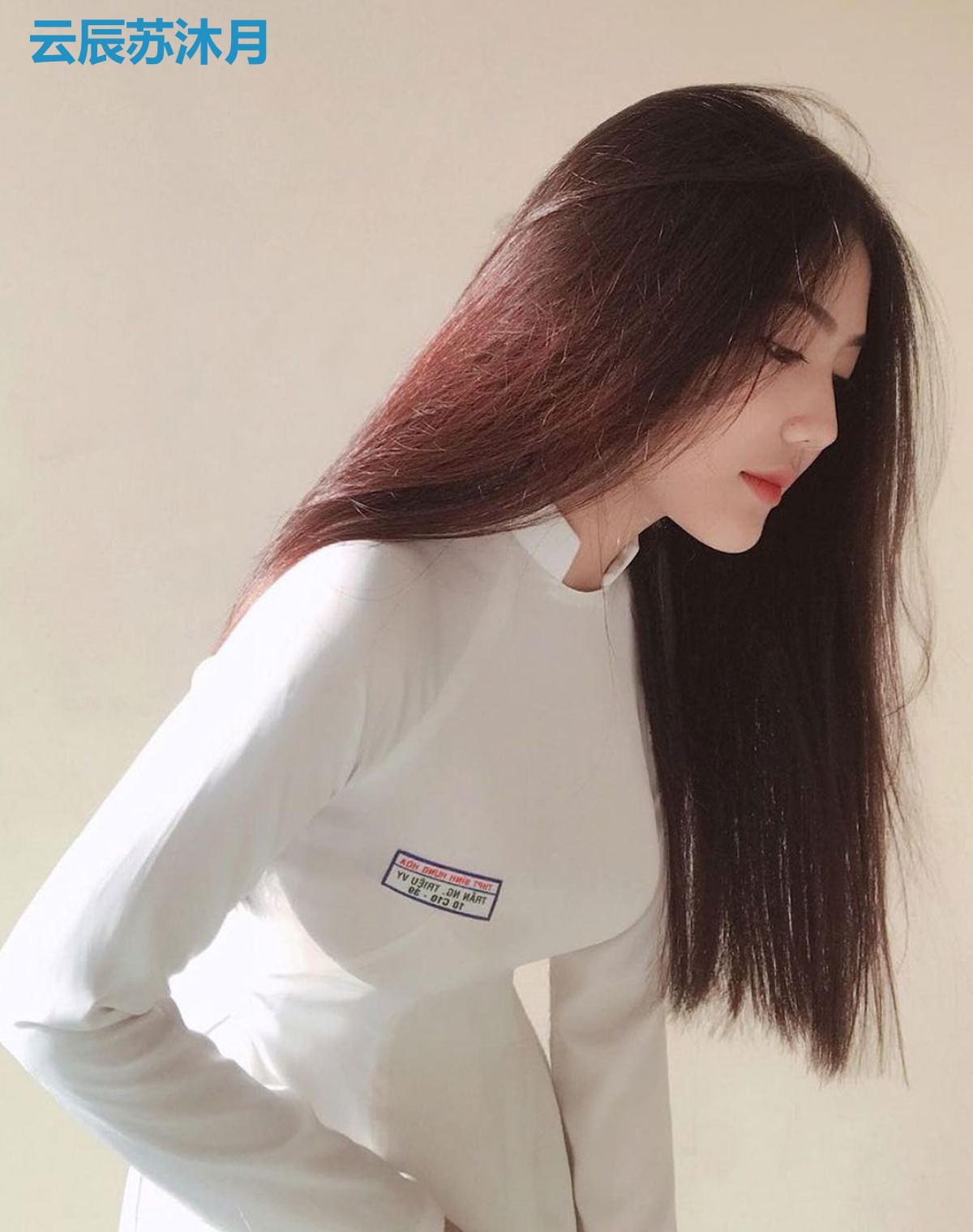 云辰苏沐月