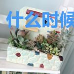 什么时候梦醒了