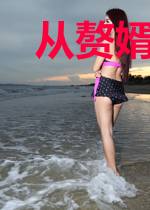 从赘婿小说反派开始