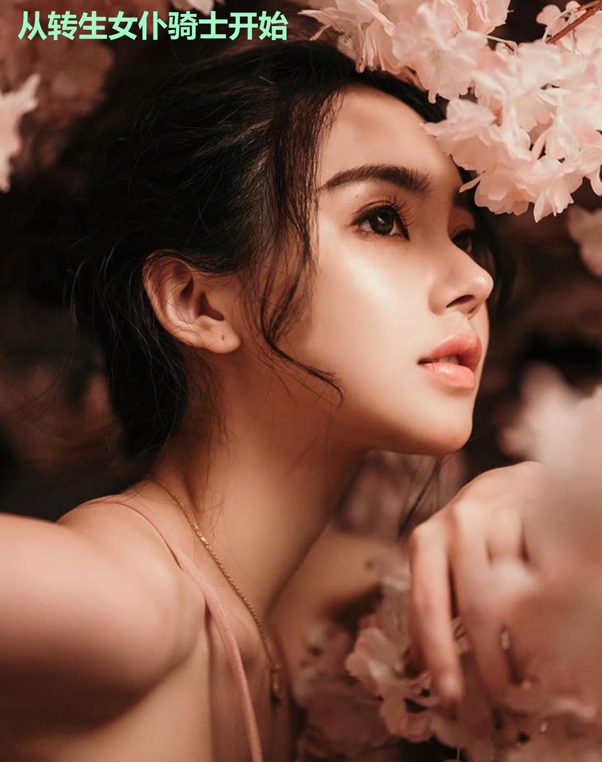 从转生女仆骑士开始
