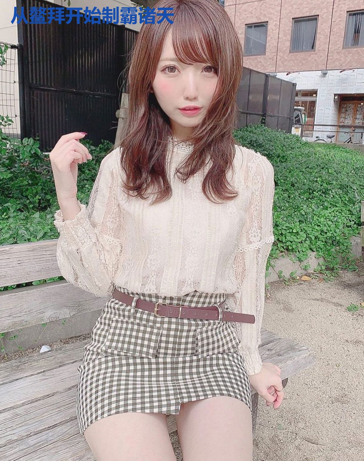 从鳌拜开始制霸诸天