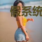 假系统之天王巨星