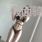 假面骑士w幻世界的盖亚记忆体