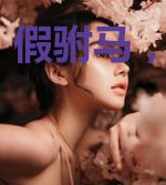 假驸马,真皇后