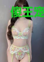 傻王宠妻：妖孽王妃要逆天