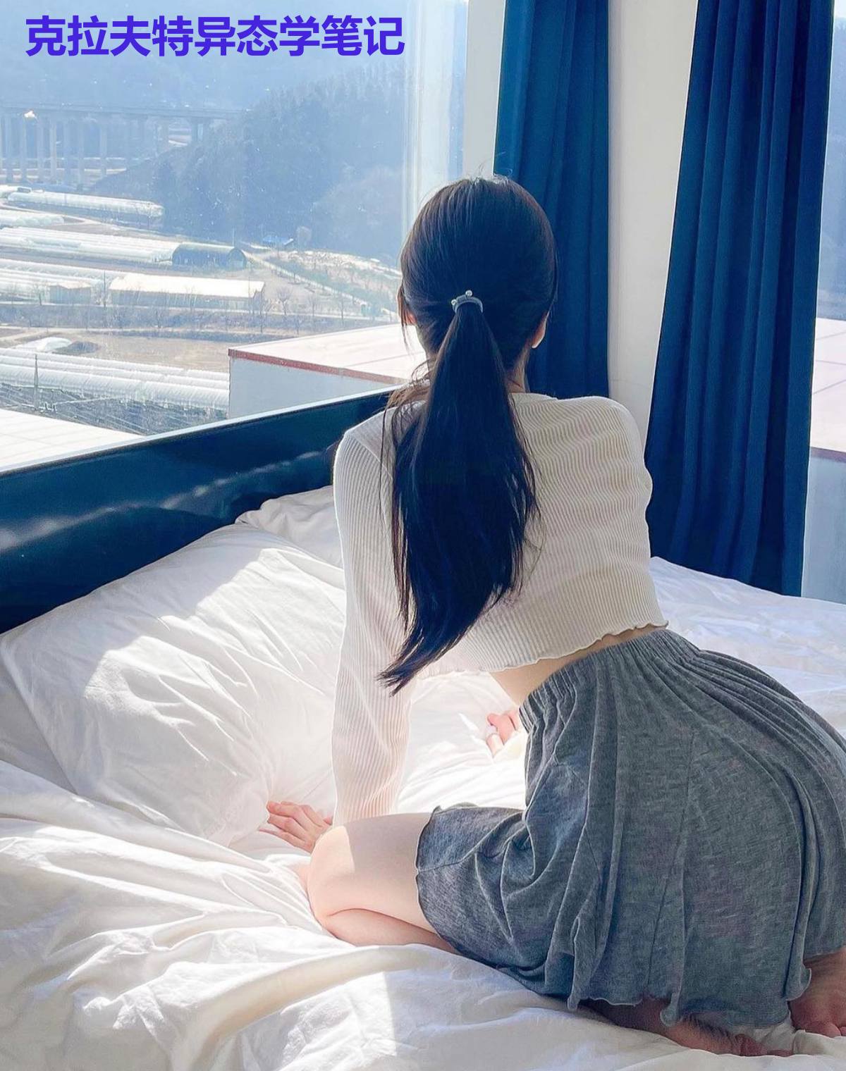 克拉夫特异态学笔记