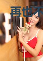 再也不见夜的辉