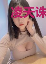 凌天诛神录