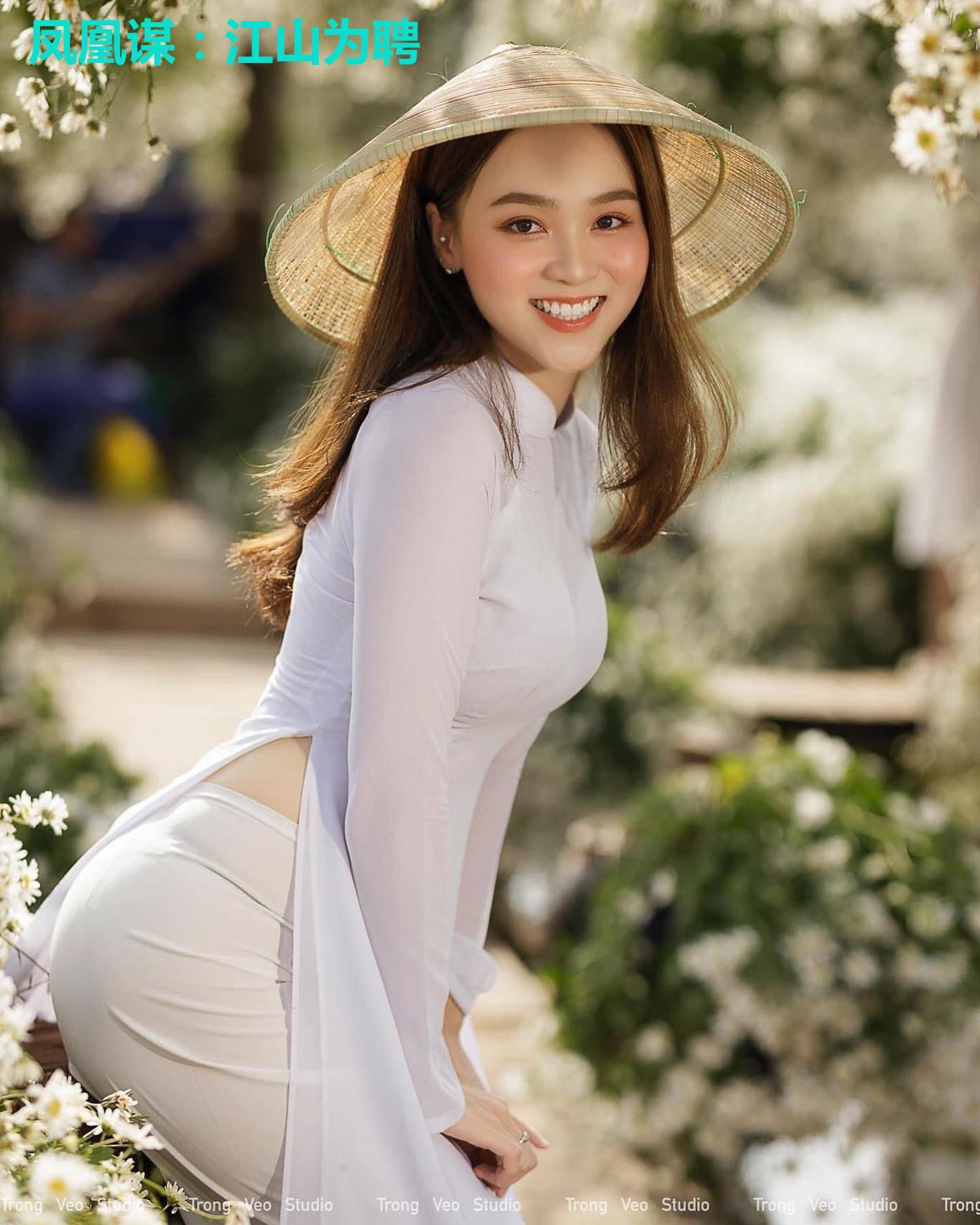 凤凰谋:江山为聘