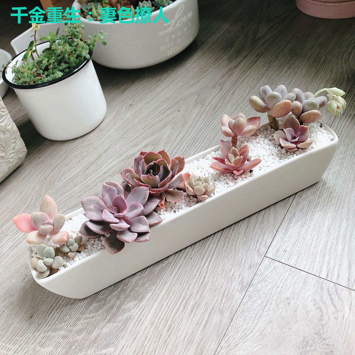 千金重生：妻色撩人