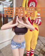 南明晋王李定国