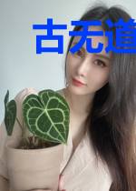 古无道柳贝贝