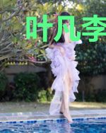 叶凡李瑾欣