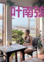 叶南弦沈蔓歌小说