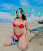 叶寻苏若怜
