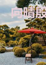 向晴殷止戈