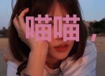 喵喵,你家团子又掉了!