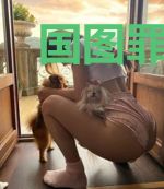 国图罪红颜