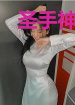 圣手神医三王妃宇文子骞