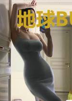 地球BUG管理局
