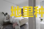 地里种出了只人参精