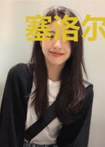 塞洛尔达传说