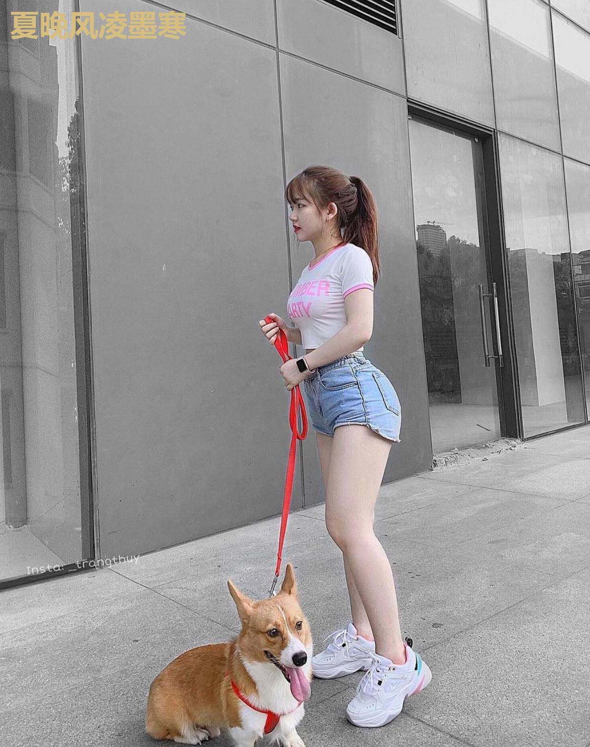 夏晚风凌墨寒
