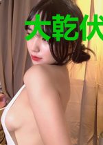 大乾伏妖记