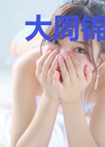 大周锦衣卫