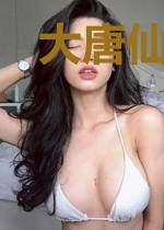 大唐仙隐传