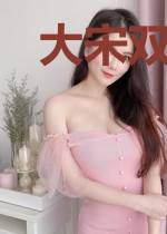 大宋双龙记