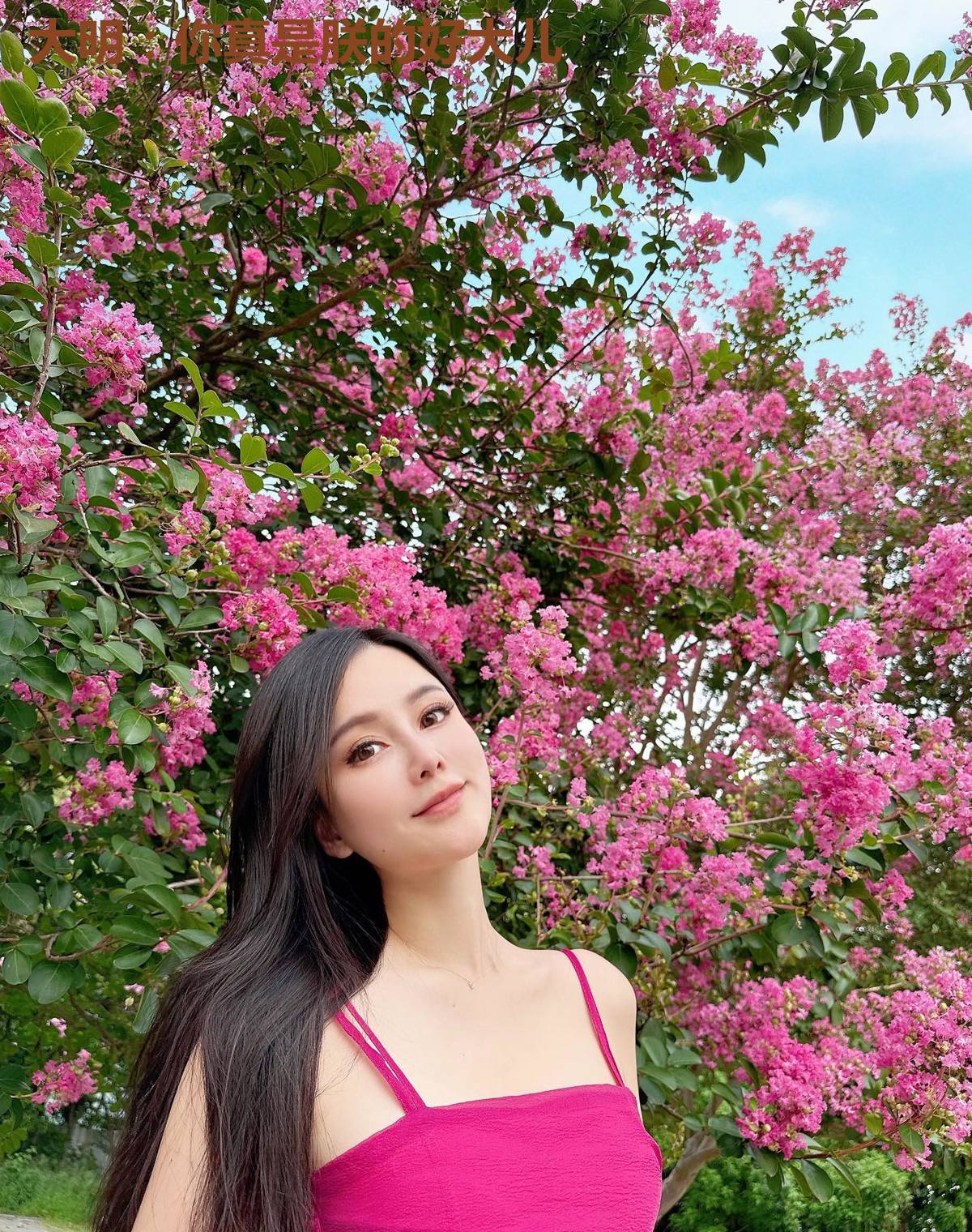 大明：你真是朕的好大儿