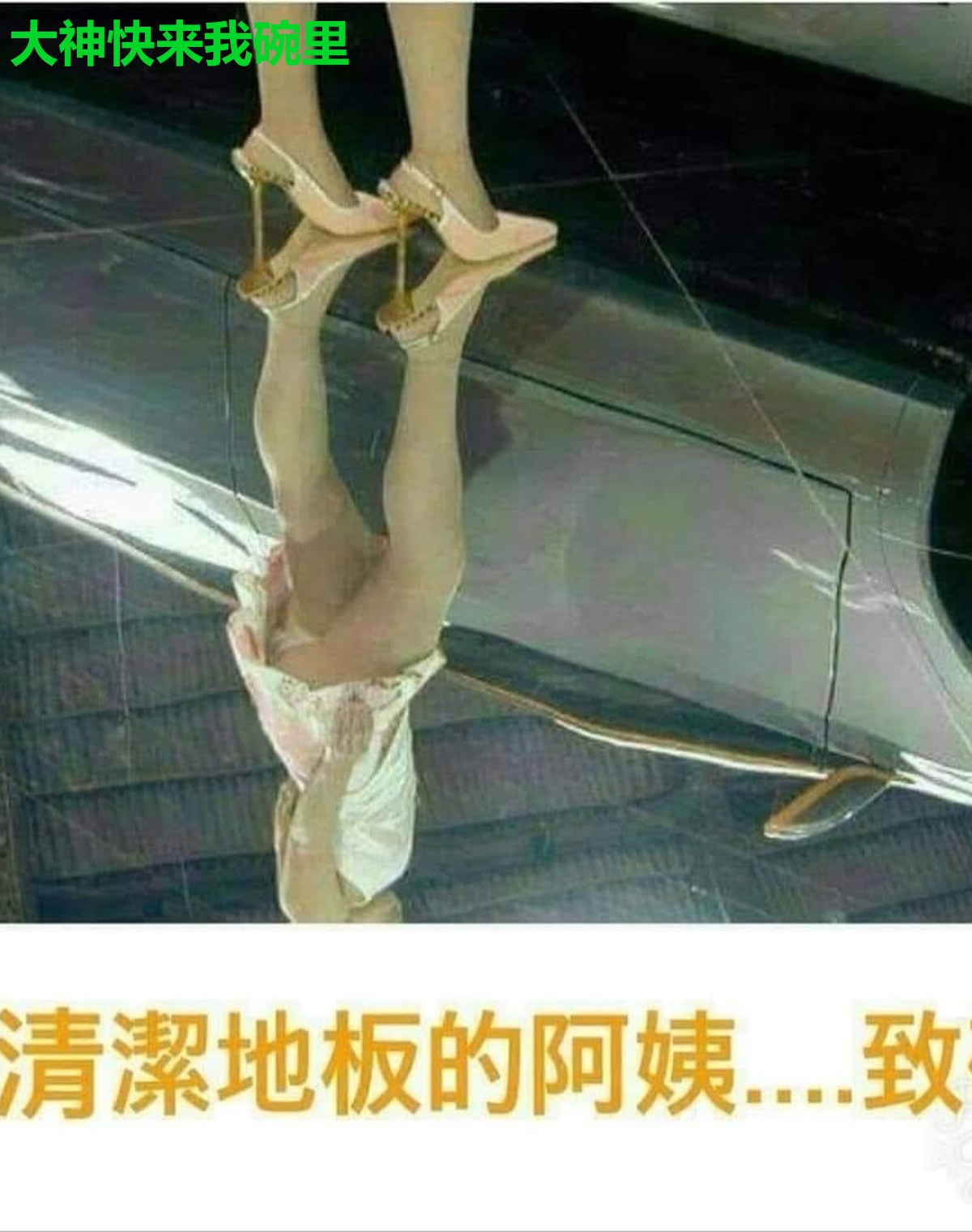 大神快来我碗里