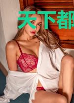 天下都是朕的