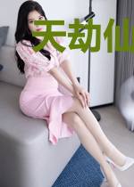 天劫仙缘录