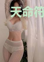 天命符箓师
