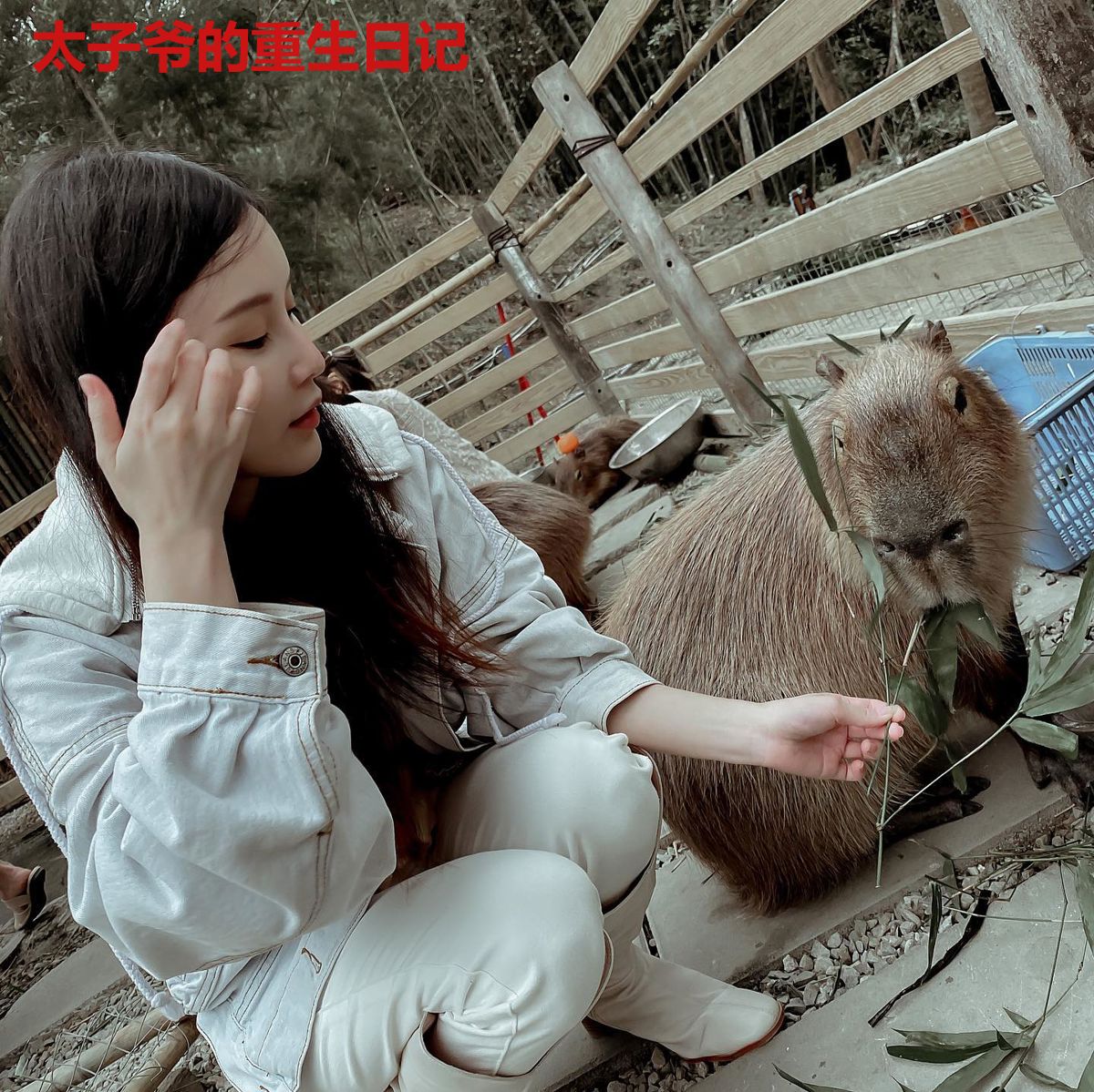 太子爷的重生日记