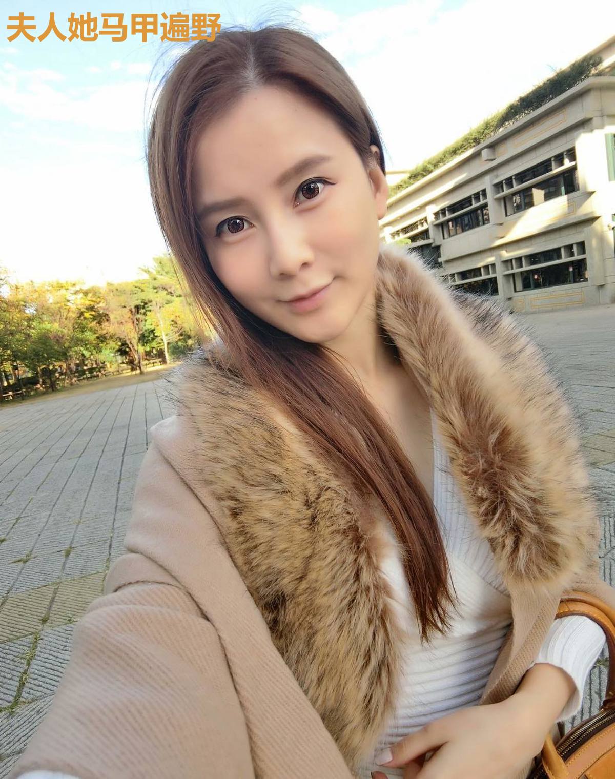 夫人她马甲遍野