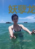 妖孽龙皇叶凌